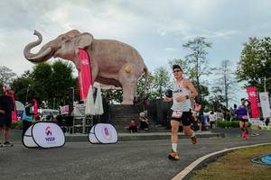 BIB: 
                            <button type="button" onclick="openModal(26528885)" class="btn btn-primary btn-sm float-right btn-popup" data-toggle="modal" data-target=".modal-high-quality">
                        <i class="fas fa-shopping-cart"></i> Add to Cart
                    </button>
                                            <button type="button" onclick="isThisMe(26528885, true)" class="btn btn-success btn-sm float-right btn-popup btn-isme hidden" data-toggle="tooltip" data-placement="bottom" title="นี่คือรูปของคุณใช่ไหม คลิกที่นี่เพื่อเอาเข้าอัลบั้ม">
                        <i class="fas fa-plus"></i> Add to album
                    </button>
                    <button type="button" onclick="isThisMe(26528885, false)" class="btn btn-warning btn-sm float-right btn-popup btn-isnotme hidden">
                        <i class="fas fa-ban"></i> Remove from album
                    </button>